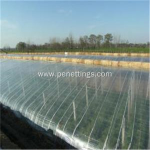 200 Micron Plant Growing Plastic Mushroom Greenhouse Film